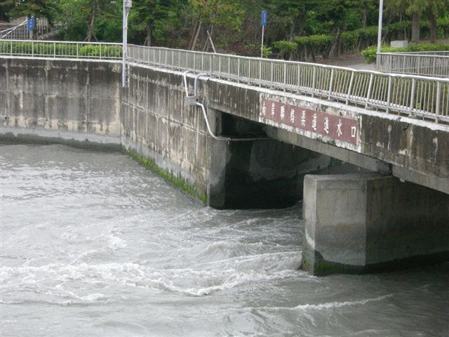 DSCN4590