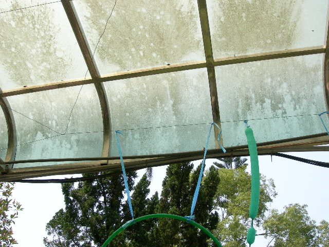 DSCN2652