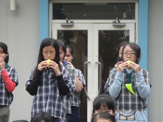 DSC08208