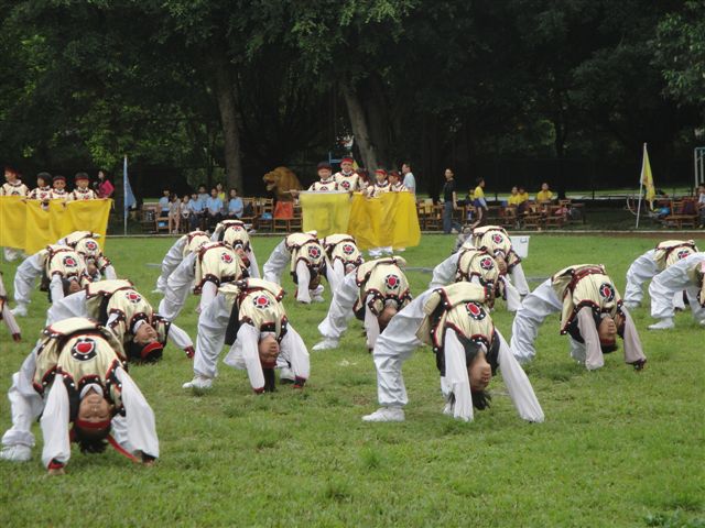 DSC08873