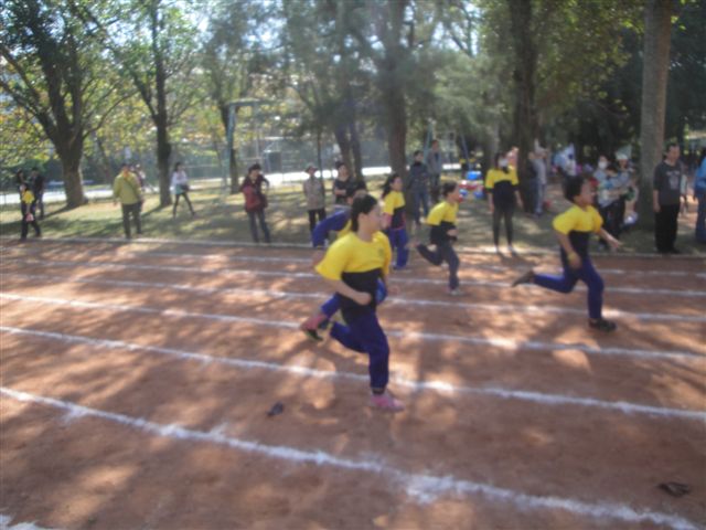 DSC02773