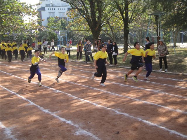 DSC02782