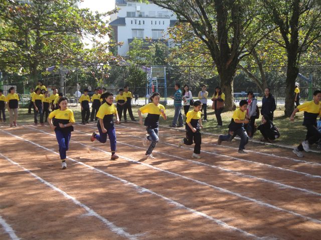 DSC02784