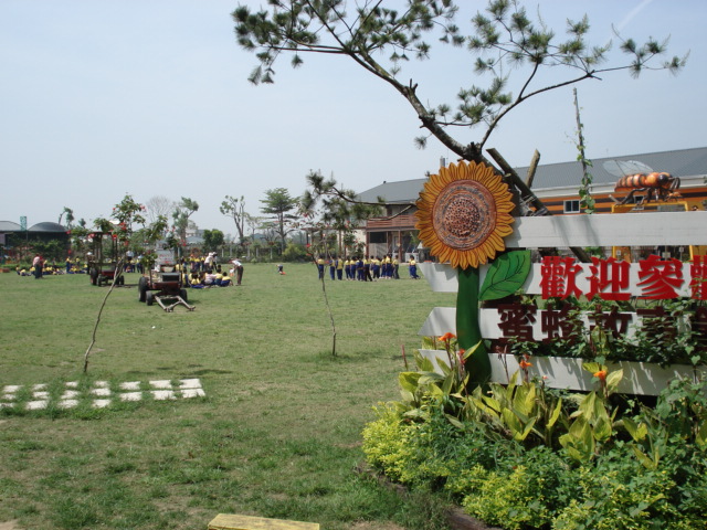 DSC00500