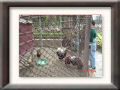 DSC05579.JPG