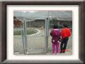 DSC05580.JPG