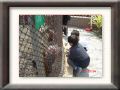 DSC05582.JPG