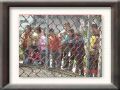 DSC05584.JPG