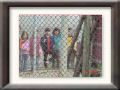 DSC05586.JPG