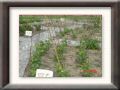 DSC05592.JPG
