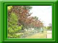 fence2.jpg