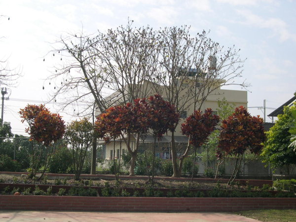 fence4.jpg