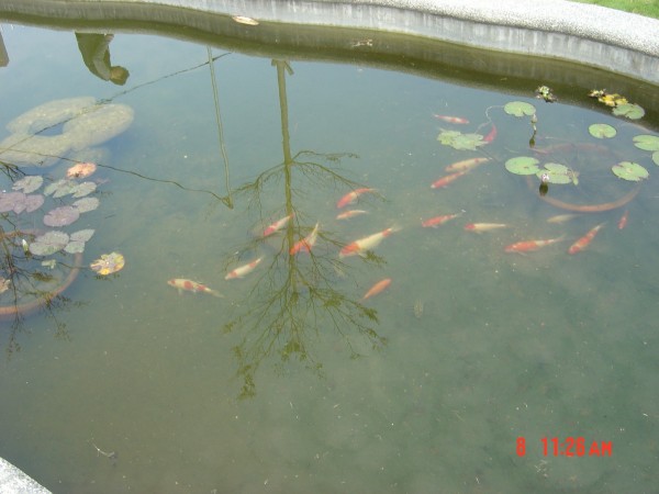 DSC05568.JPG