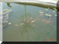 DSC05568.JPG