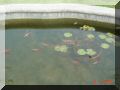DSC05569.JPG