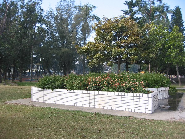 tree1.JPG