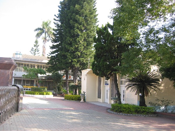 tree10.JPG