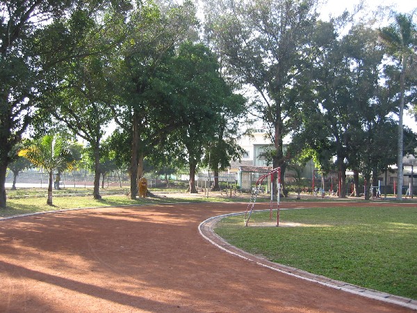 tree2.JPG