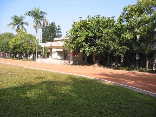 tree3.JPG