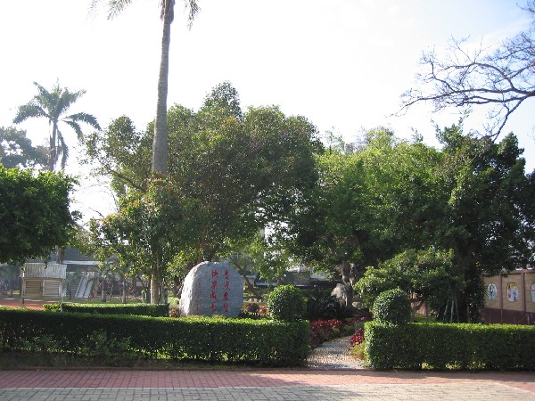 tree4.JPG