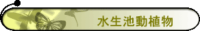  ͦʴӪ